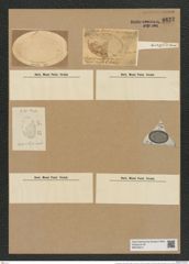 Coscinodiscus ovalis (Greg.) Ralfs. (de-Toni-Nr.: Genus 202, Species 4875) Zeichnungen Sammlung Grunow Nr. 8622 (NHMW-BOT-W0378014)